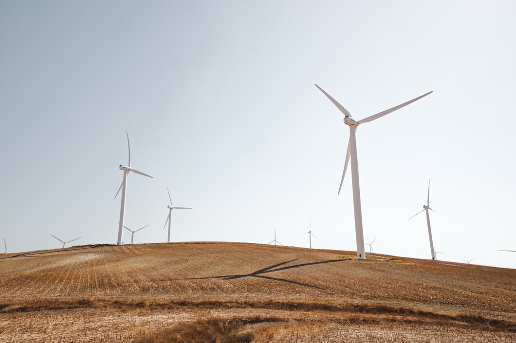 Omnibus proposal: A regulatory reset or a green transition slowdown?